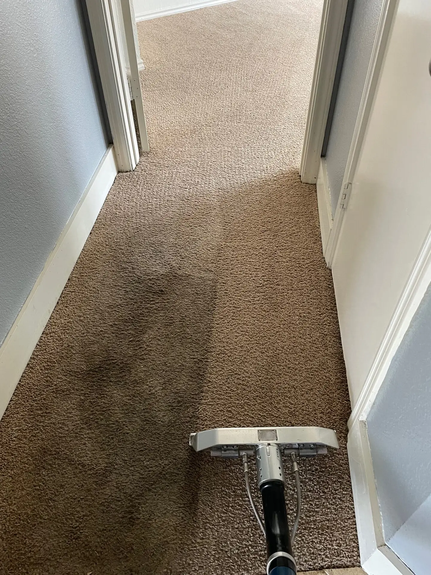 Silver Dallas carpet cleaning with premium pre-treatment on traffic lanes