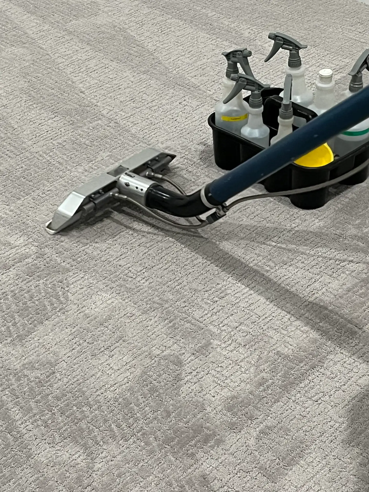 Dallas carpet inspection with UV light to locate hidden pet contamination