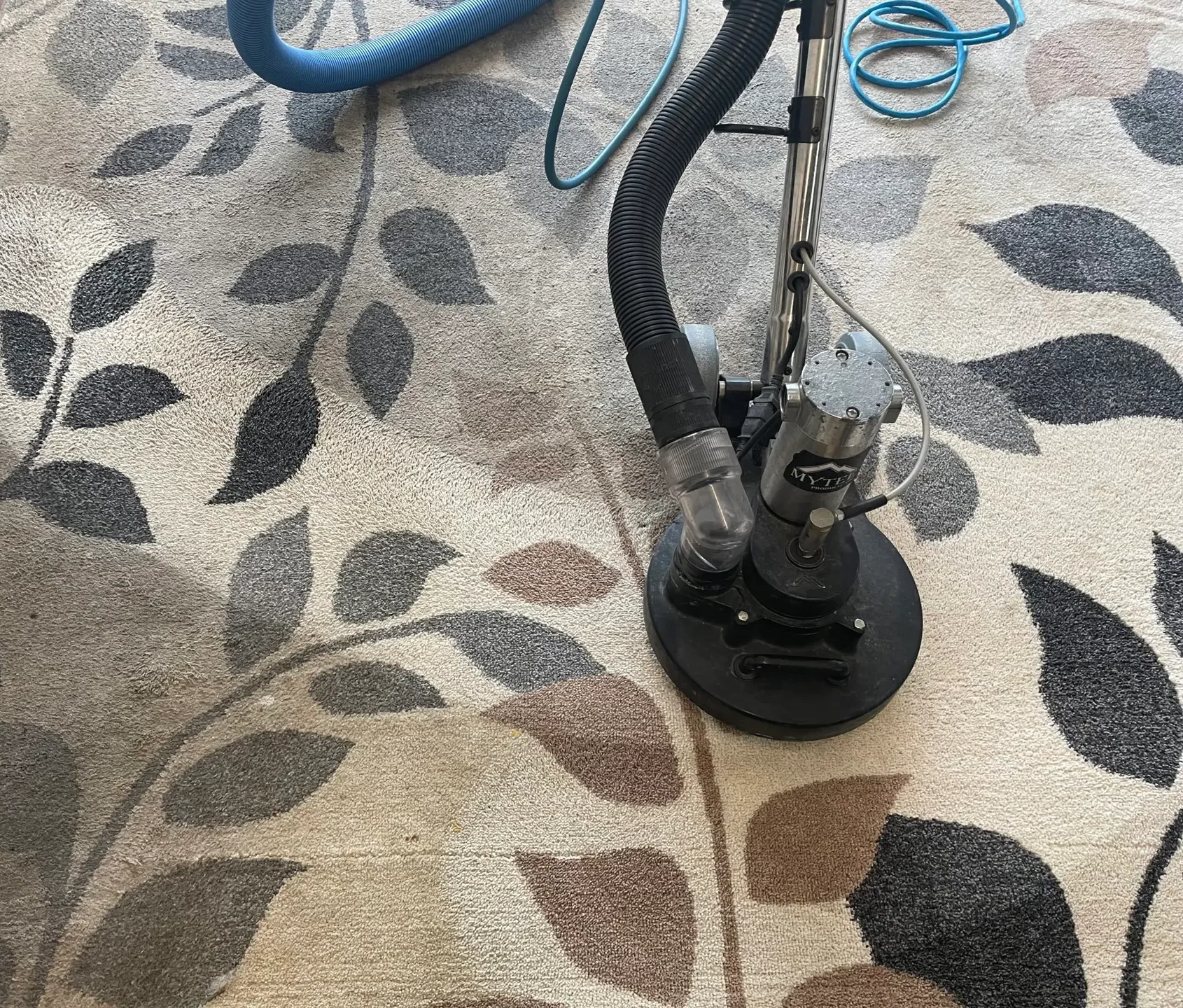 Gold Dallas carpet cleaning—rotary deep agitation and pet enzyme treatment