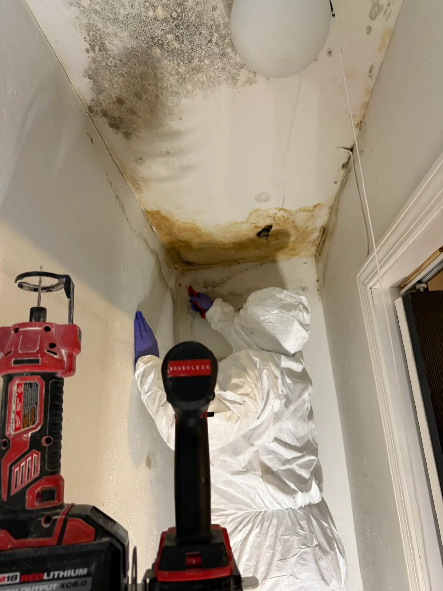 Technician applying antimicrobial in Dallas Category 3 water loss