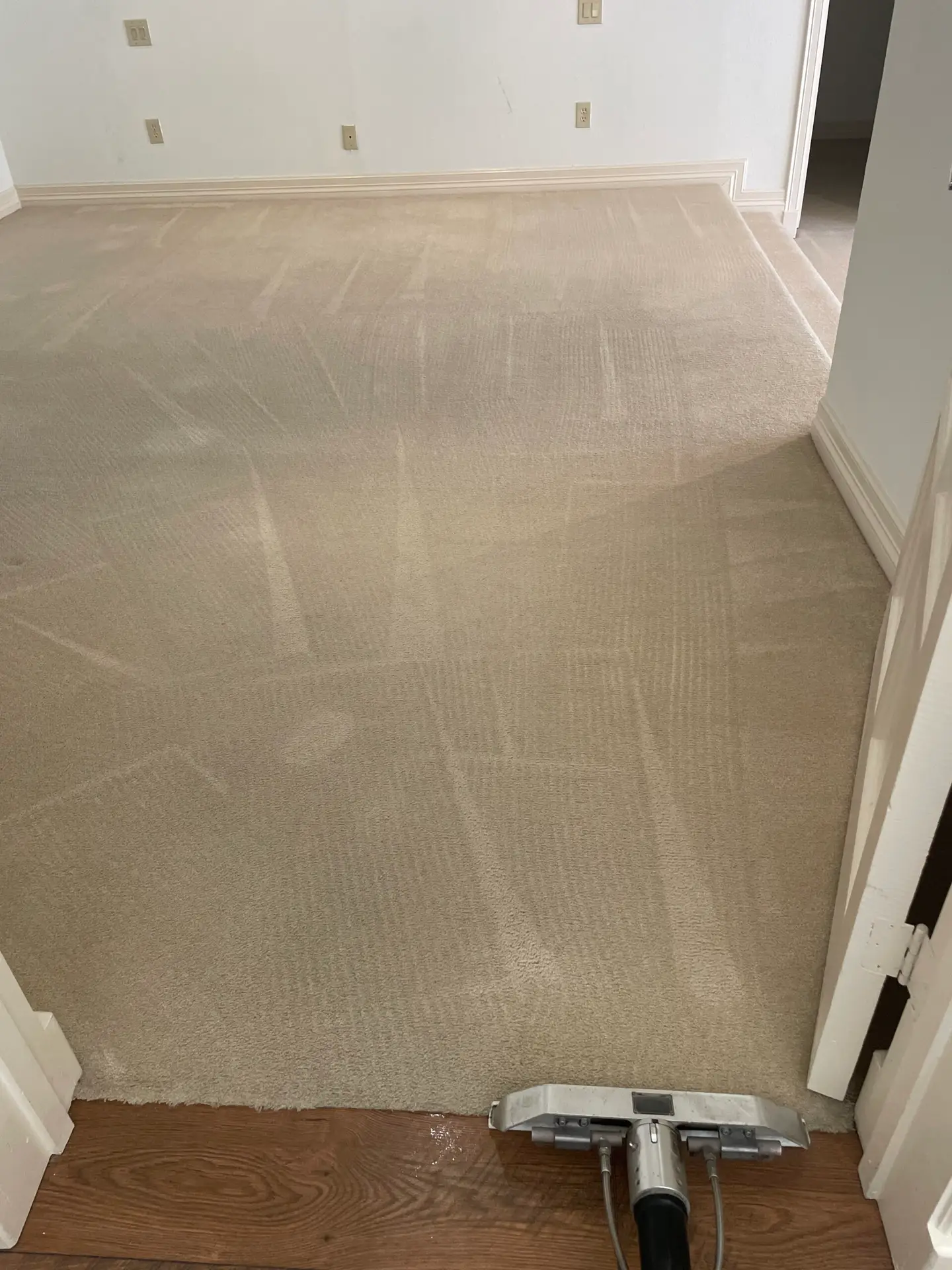 Fresh results after Dallas carpet cleaning—bright living room carpet