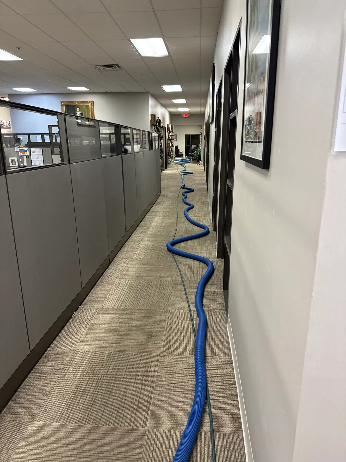 Dallas office workspace commercial carpet cleaning