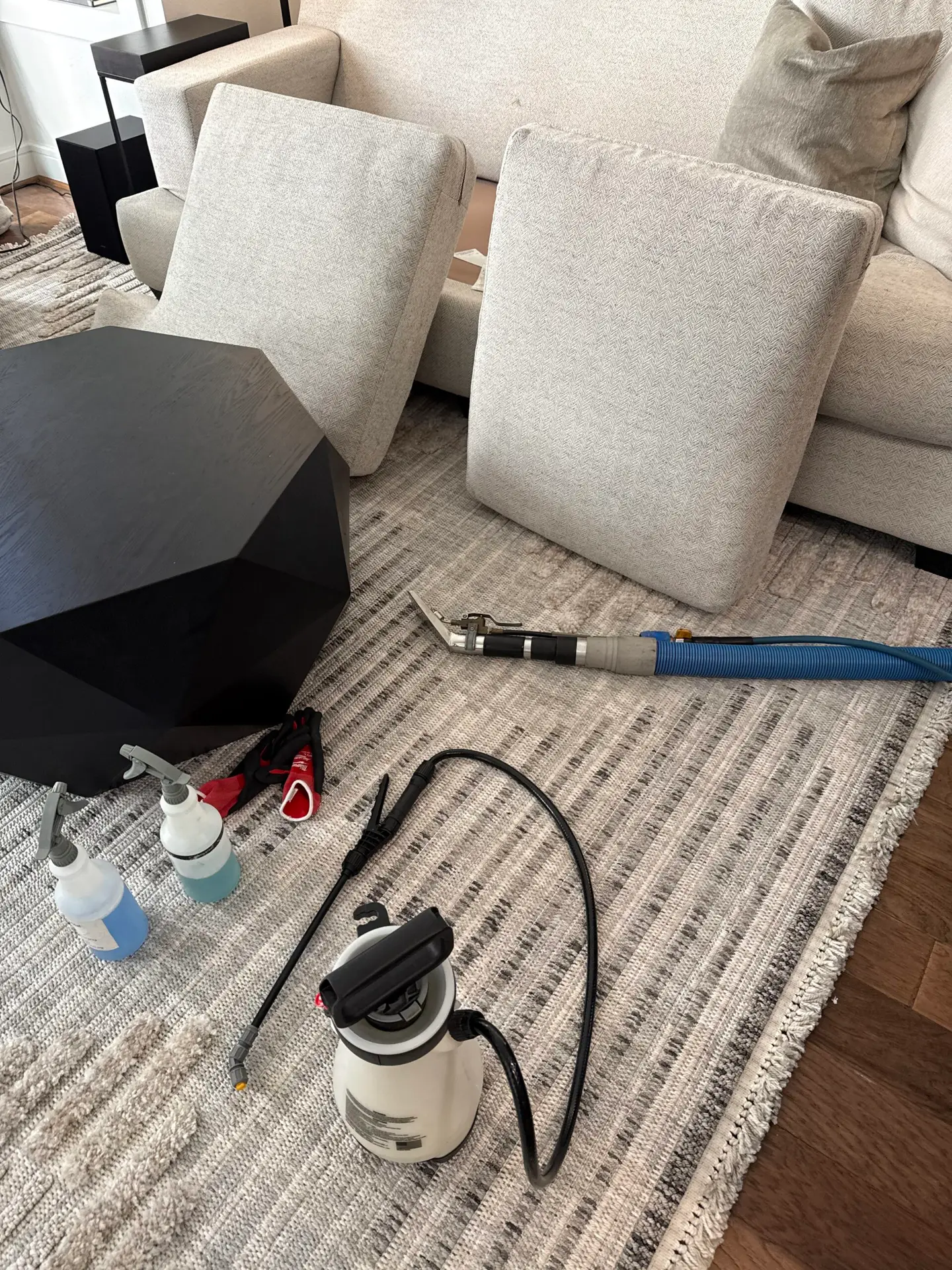 Upholstery cleaning and grooming