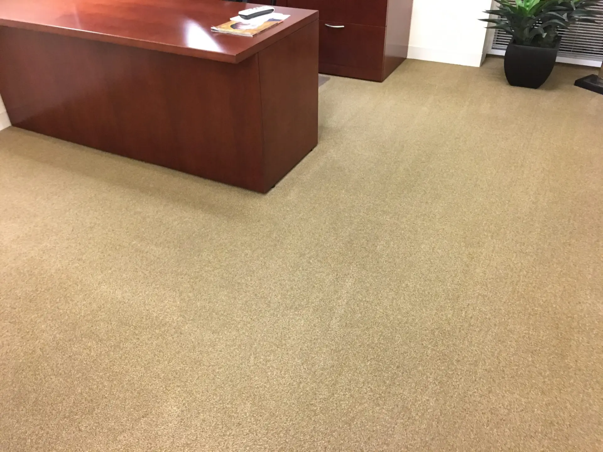 Low-moisture commercial carpet cleaning in Dallas using rotary bonnet