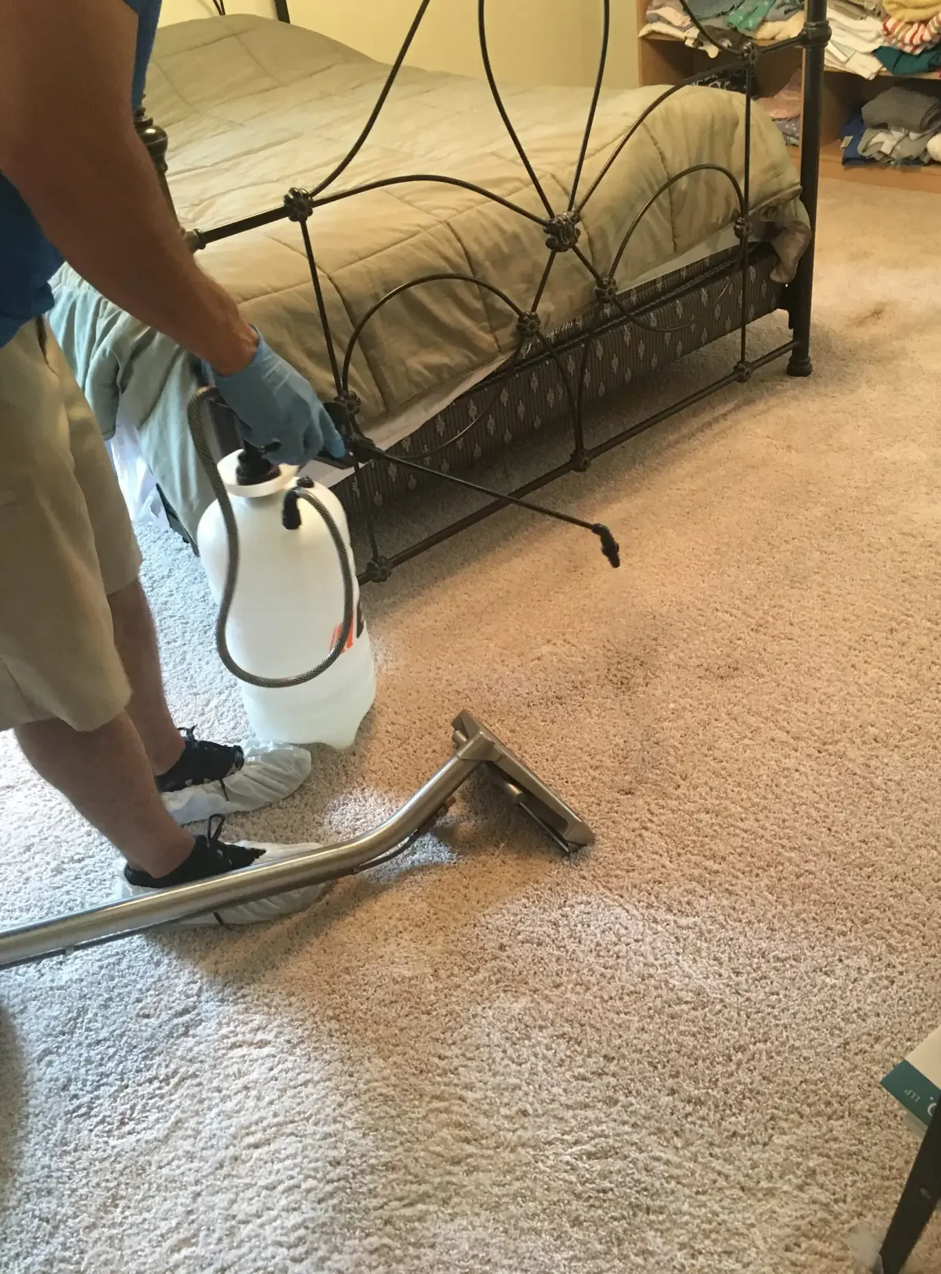 Pet enzyme treatment during Dallas carpet cleaning to neutralize odor