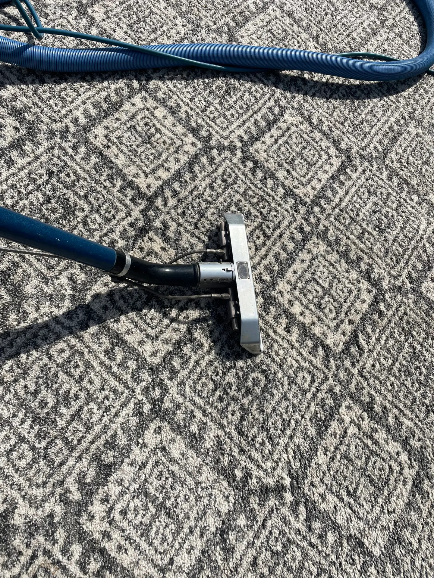 Synthetic area rug cleaning in Dallas using modern extraction equipment
