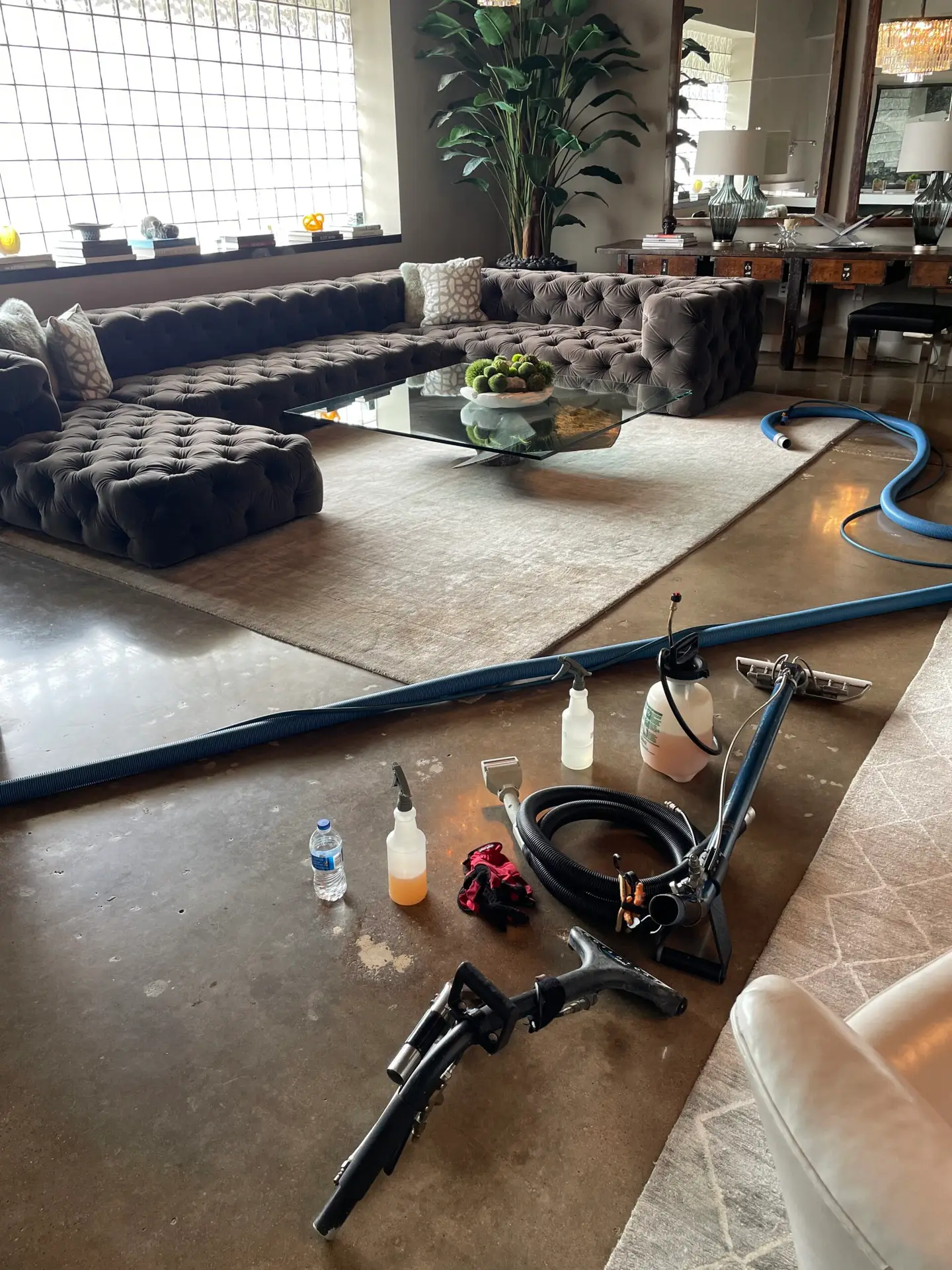 Professional upholstery cleaning in Dallas — sofa or sectional service