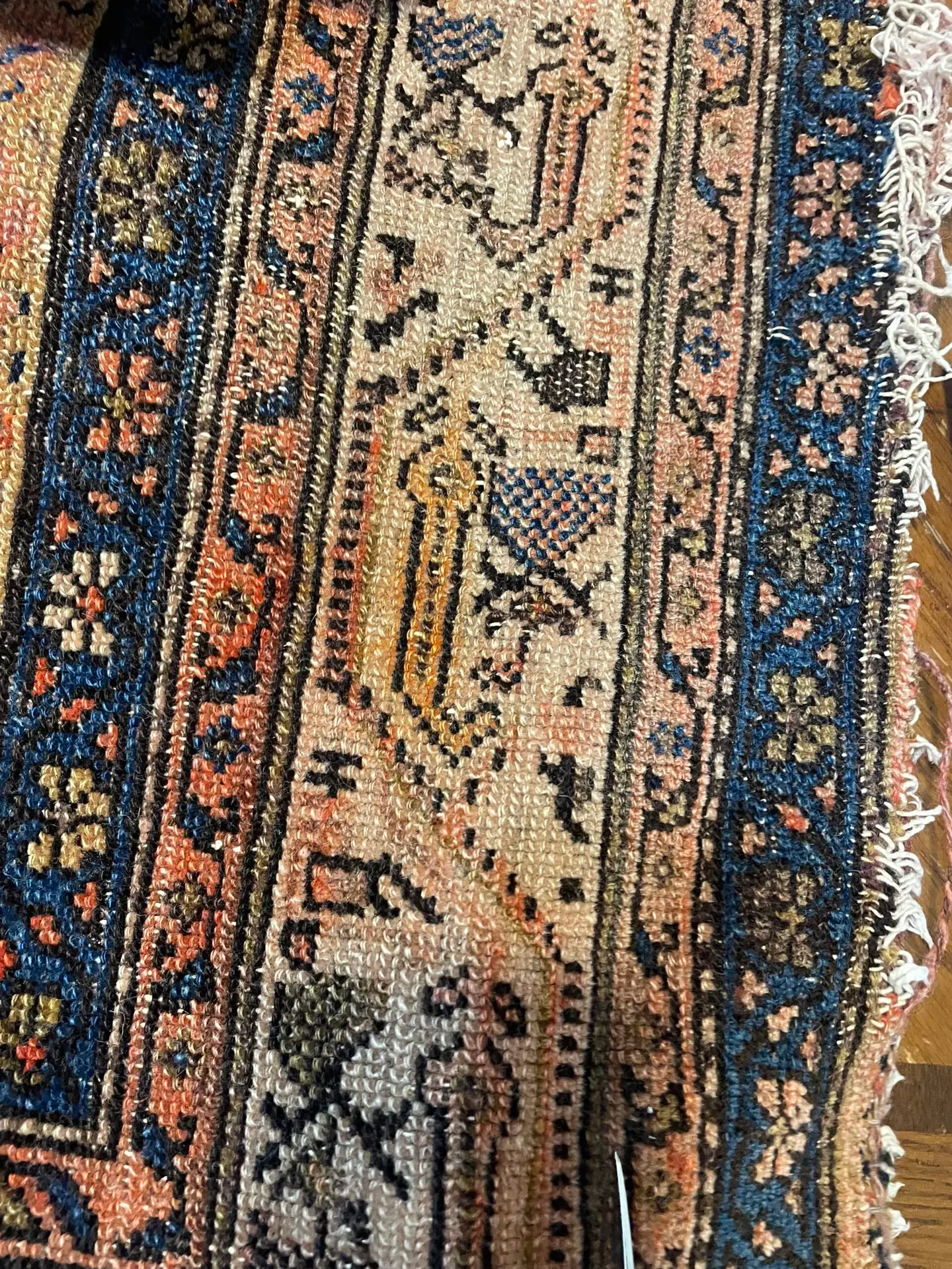 Area rug cleaning in-plant