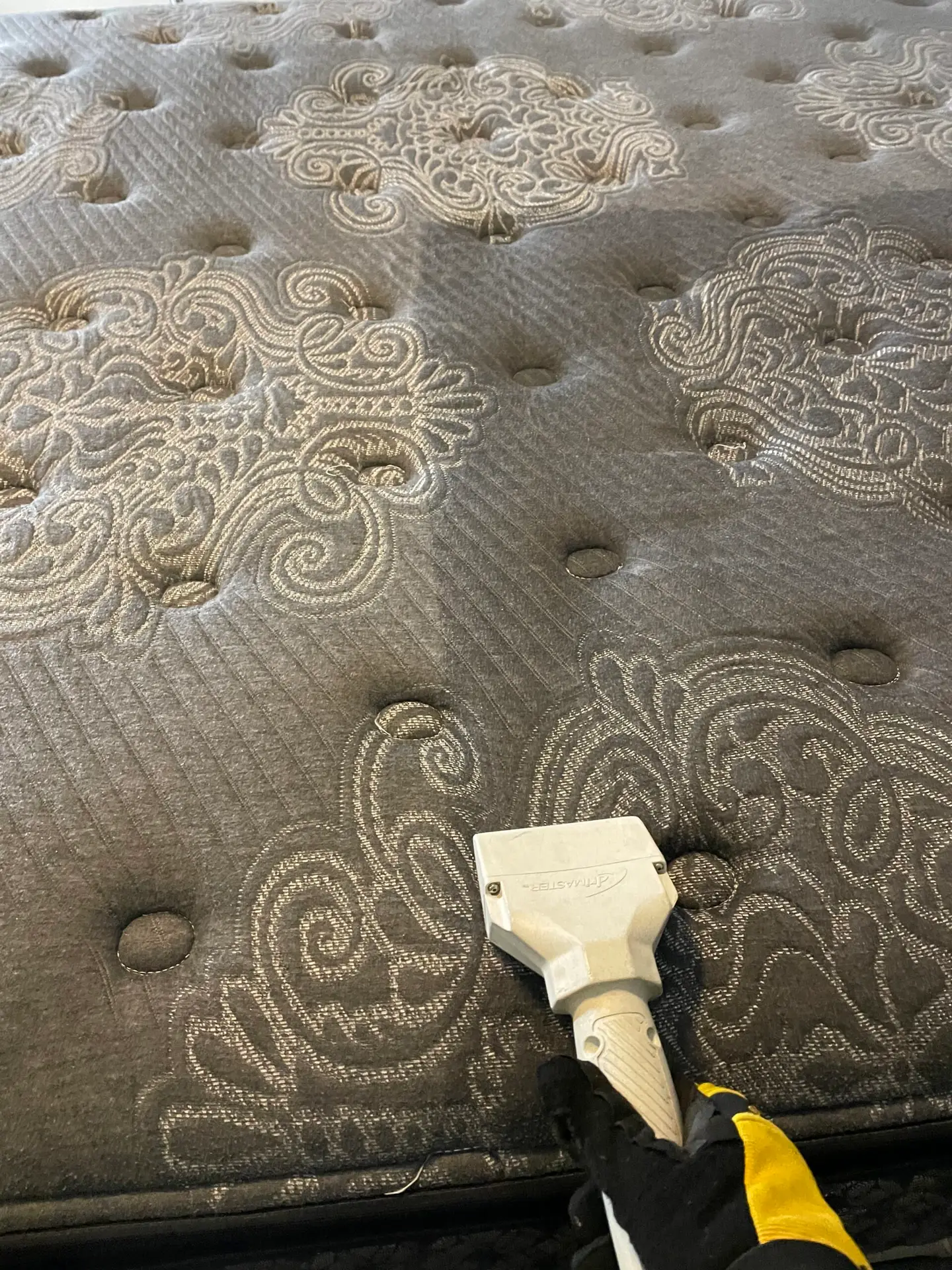 King mattress cleaning and sanitizing in Dallas